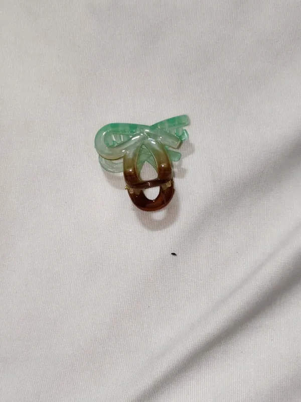Green_And_Brown_Translucent_Hair_Claw_Clips_Set_Pack_Of_11