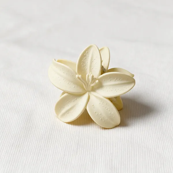 Ivory_Flower_Hair_Clip_for_Women_Pack_Of_4