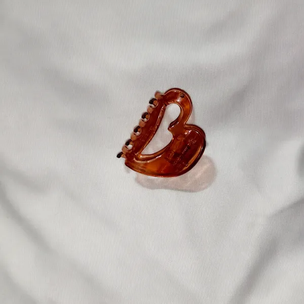 Brown_Acrylic_Swan_Hair_Claw_Clip_for_Women_Pack_Of_4