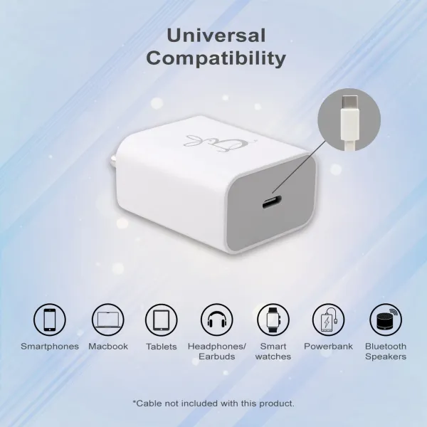 White_Bunny_Techs_Usb-C_Fast_Charging_Power_Adapter