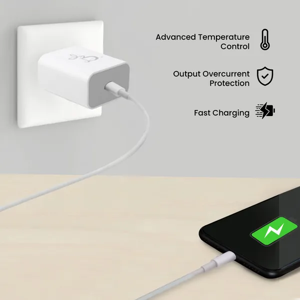 Fast_Charging_Wall_Charger_(White)_C_to_C_supporting_all_protocol