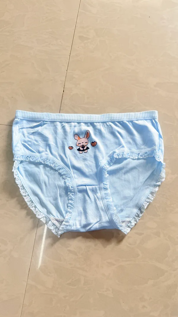 Light_Blue_Lace_Trim_Briefs_for_Girls