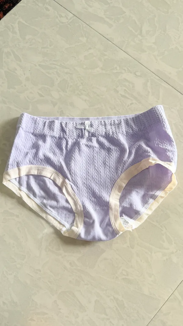 Lavender_Striped_Brief_Panty_for_Women