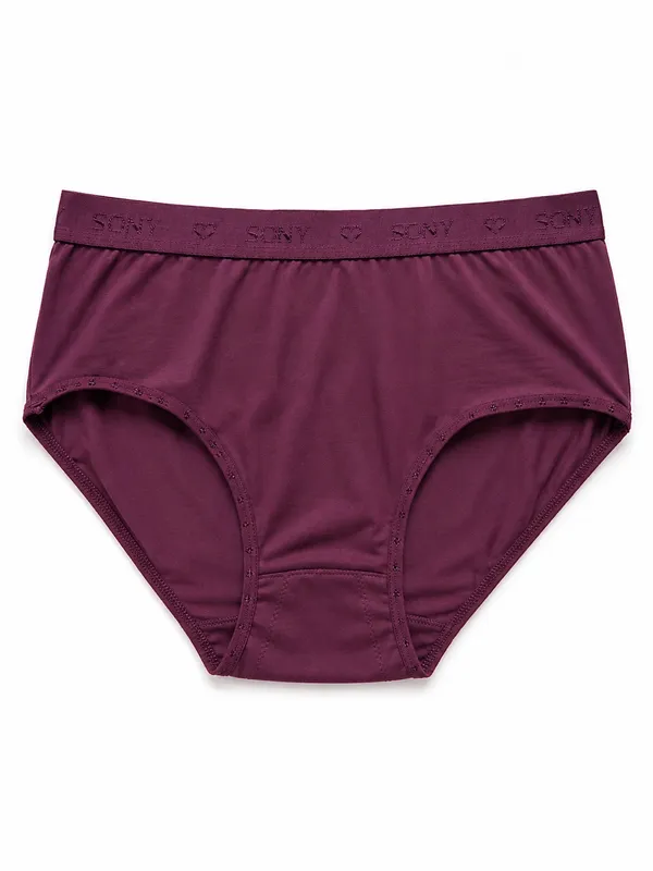 Maroon_High_Rise_Brief_Panty_for_Women