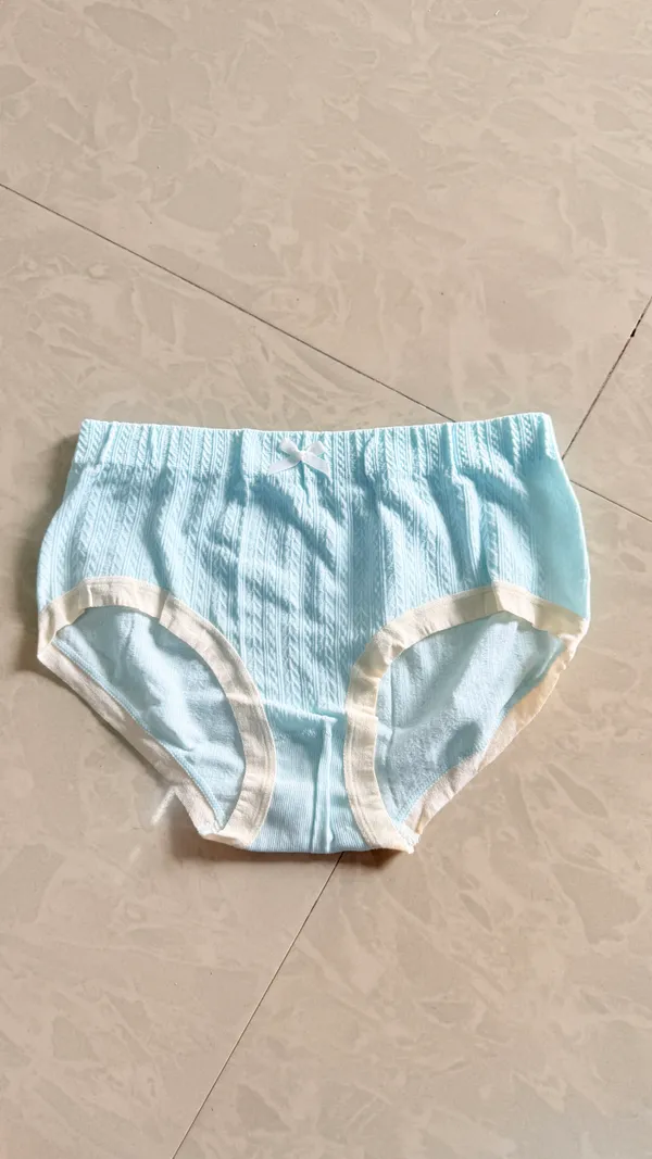 Light_Blue_Ribbed_Brief_Panty_for_Women