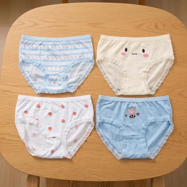 Multicolor_Cotton_Undies_For_Women_(_Pack_Of_4_)