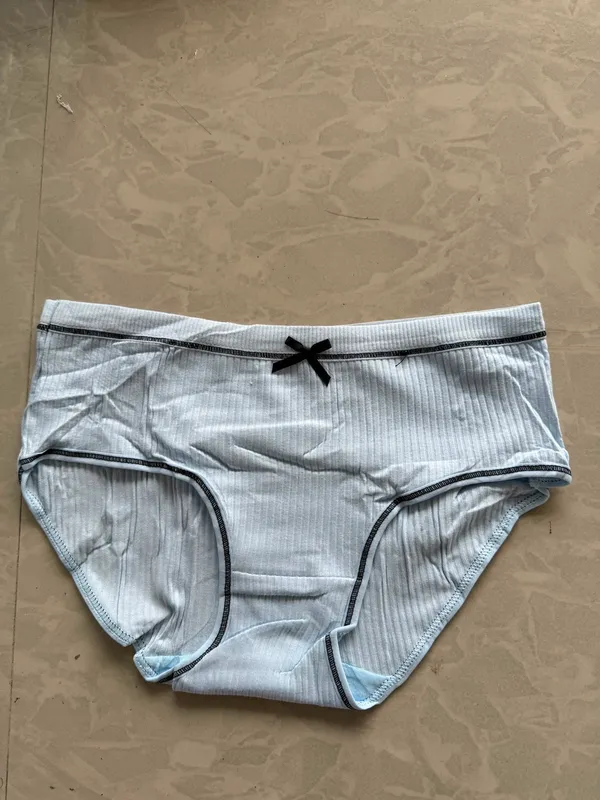 Light_Blue_Ribbed_Brief_Panty_for_Women