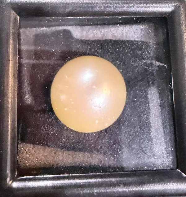Gold_South_Sea_Pearl_Natural_Gemstone_For_Adults_16.25_Ratti