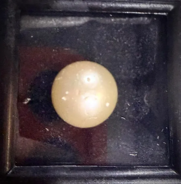 Gold_South_Sea_Pearl_Natural_Gemstone_For_Adults_10.25_Ratti