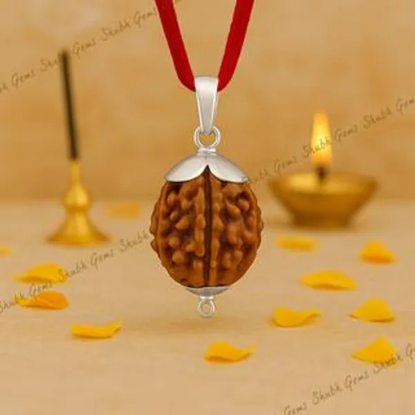 2_Mukhi_Rudraksha_Bead_Pendant_With_Red_Thread