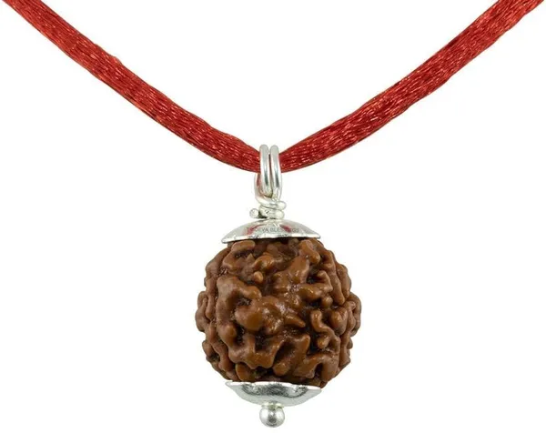 3_Mukhi_Rudraksha_Bead_Pendant_Necklace_for_Adults