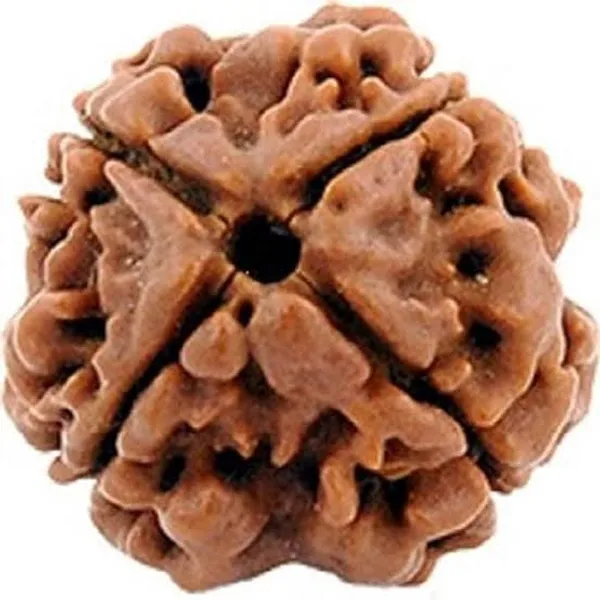 Rudraksha_4_mukhi_Spiritual_Bead