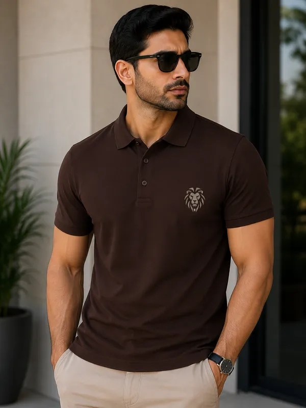 Brown_Polo_T-Shirt_for_Men