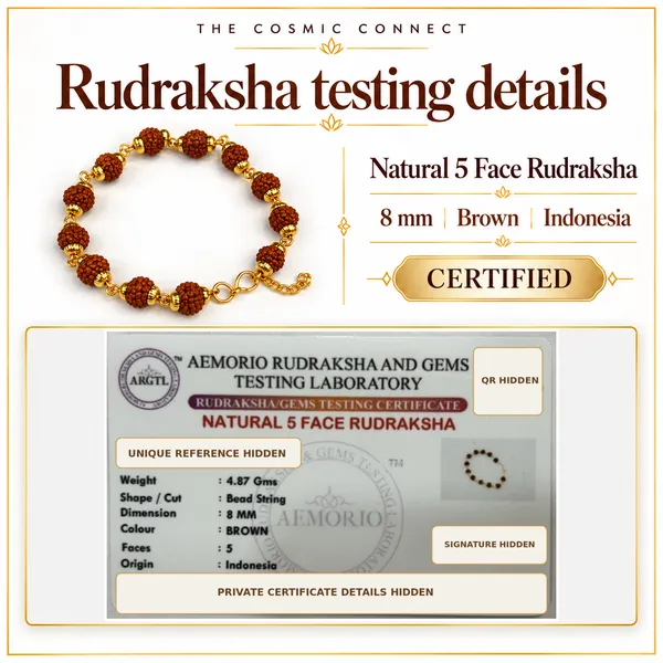5_Mukhi_Rudraksha_Bracelet_for_Men_|_8_mm_Indonesian_Rudraksha_with_Gold-Tone_Metal_Detailing