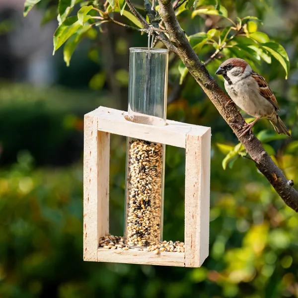 Wood_Open-Front_Bird_Feeder_With_Seed_Tube