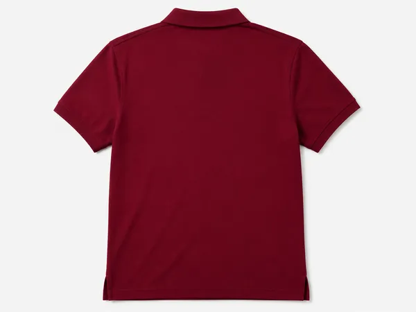 Maroon_Polyester-Cotton_Regular_Fit_Polo_T-Shirt_For_Men