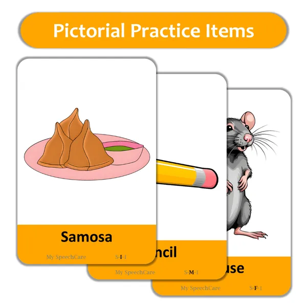My_SpeechCare_Articulation_&_Pronunciation_Flashcards_–_/S/_Sound_|_Speech_Practice_Cards_for_Kids