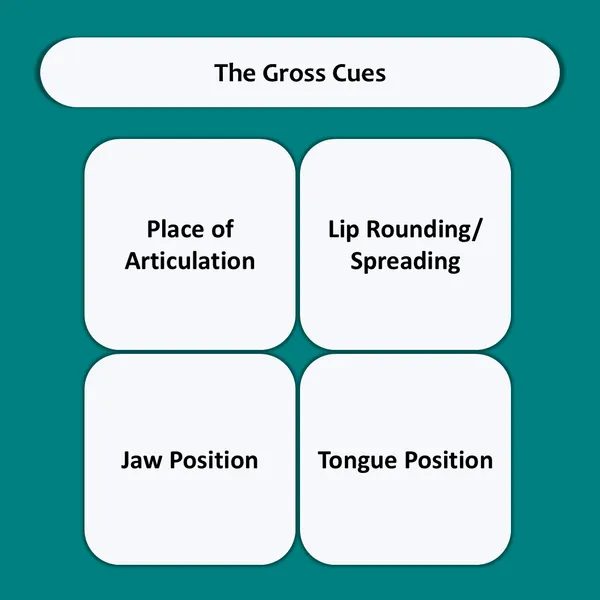 My_SpeechCare_Speech_Sound_Visual_Cue_Cards_Complete_Kit_–_Front_&_Lateral_View_|_Pronunciation_Practice_Cards