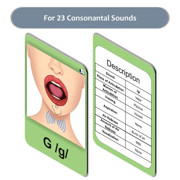 My_SpeechCare_Speech_Sound_Visual_Cue_Cards_Complete_Kit_–_Front_&_Lateral_View_|_Pronunciation_Practice_Cards