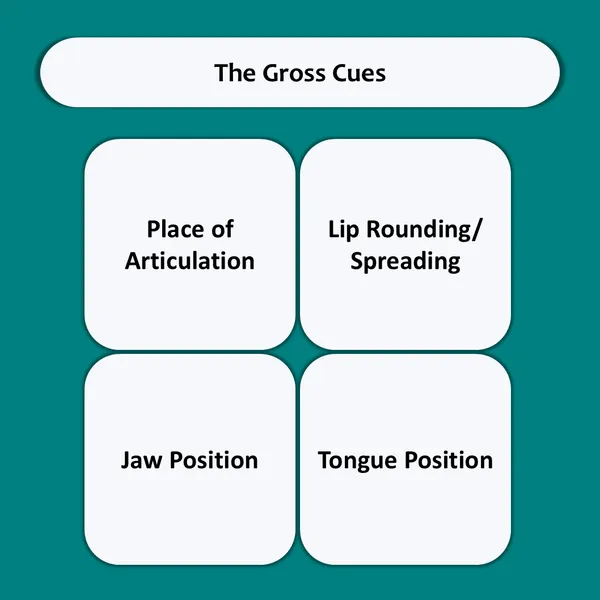 My_SpeechCare_Speech_Sound_Visual_Cue_Cards_–_Lateral_View_Set_2_|_Pronunciation_Practice_Cards_for_Kids