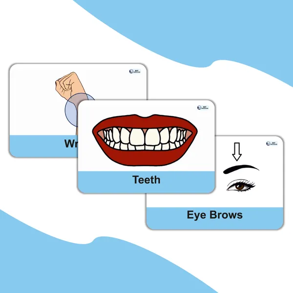 My_SpeechCare_Vocabulary_Builder_Flashcards_–_Body_Parts_|_Language_Development_Cards_for_Kids
