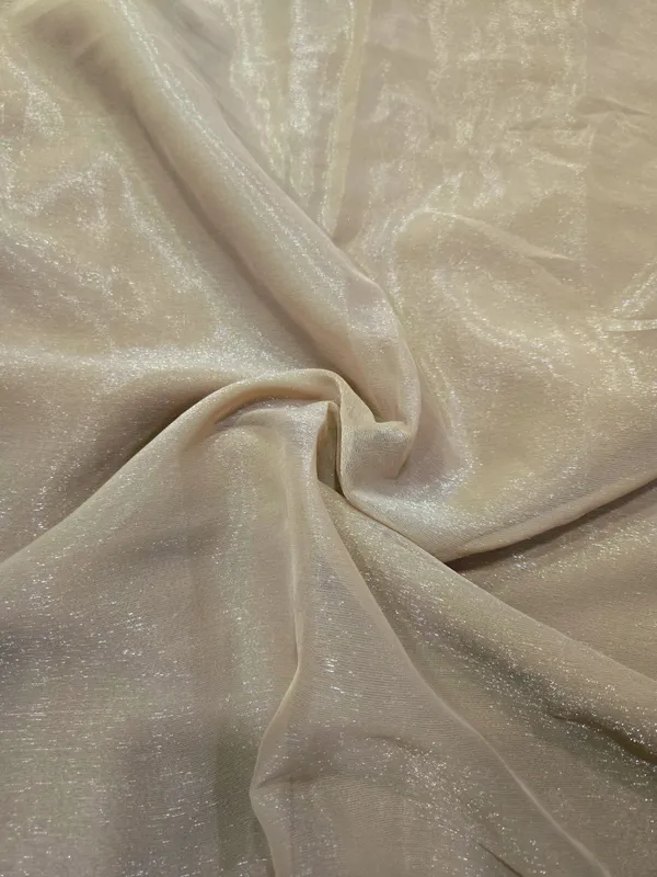 Taupe_Shimmer_Silk_Embellished_Saree_With_Blouse_For_Women