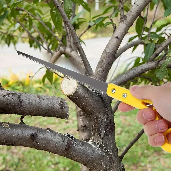 Multicolor_Carbon_Steel_Folding_Pruning_Saw_For_Tree_Pruning_&_Gardening_(Pack_Of_2_)