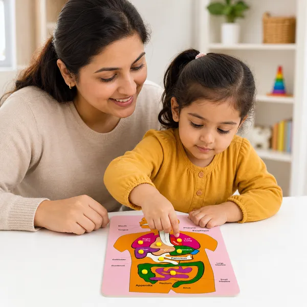 Digestive_System_Wood_Educational_Puzzle_Board_For_Kids