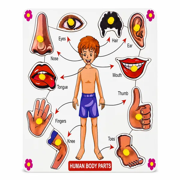 Body_Parts_Wooden_Puzzle_Learning_Board_For_Kids