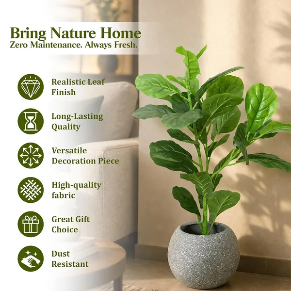 Artificial_Fiddle_Leaf_Plant_With_Pot_For_Home_Decor
