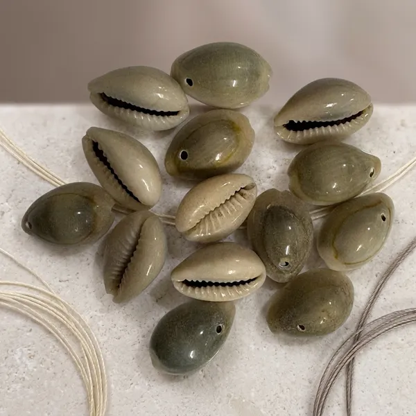 Natural_Cowrie_Shells_For_Craft_And_Jewellery_Making_Pack_of_8