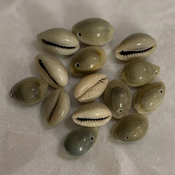 Natural_Cowrie_Shells_For_Craft_And_Jewellery_Making_Pack_of_8