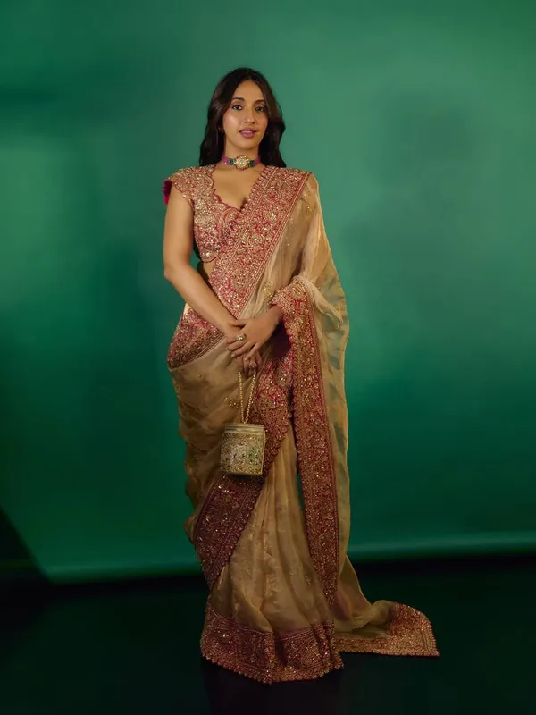 Beige_Glass_Organza_Silk_Embroidered_Maroon_Border_Saree_For_Women