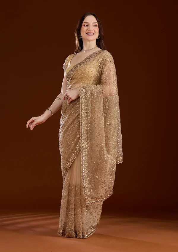 Gold_Sequins_Net_Saree