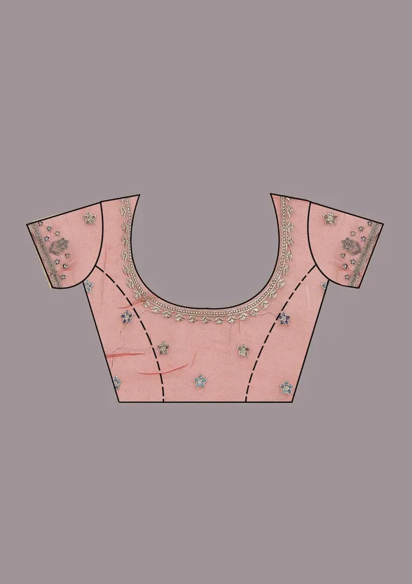 Onion_Pink_Stonework_Gold_Tissue_Saree