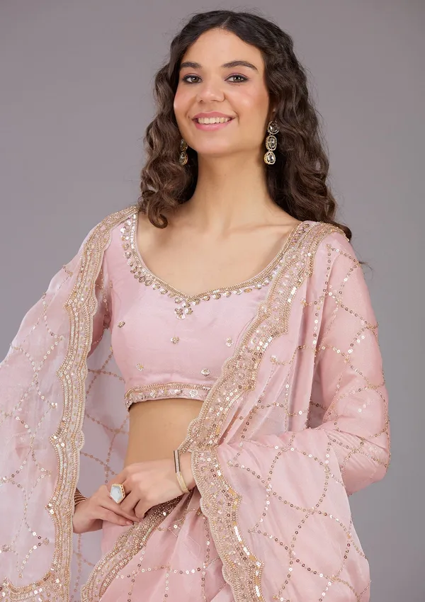 Pink_Sequins_Tissue_Saree