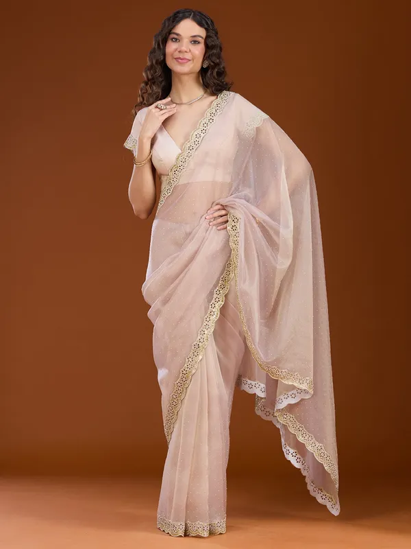 Beige_Cutdana_Tissue_Saree