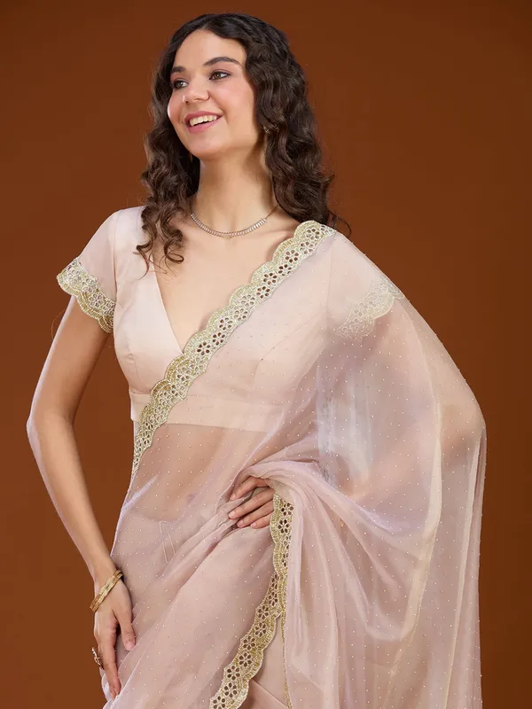 Beige_Cutdana_Tissue_Saree