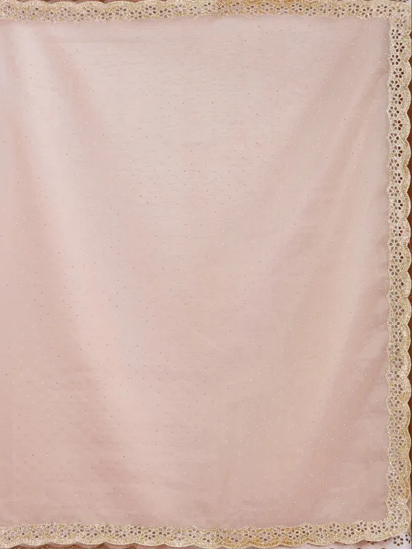 Beige_Cutdana_Tissue_Saree