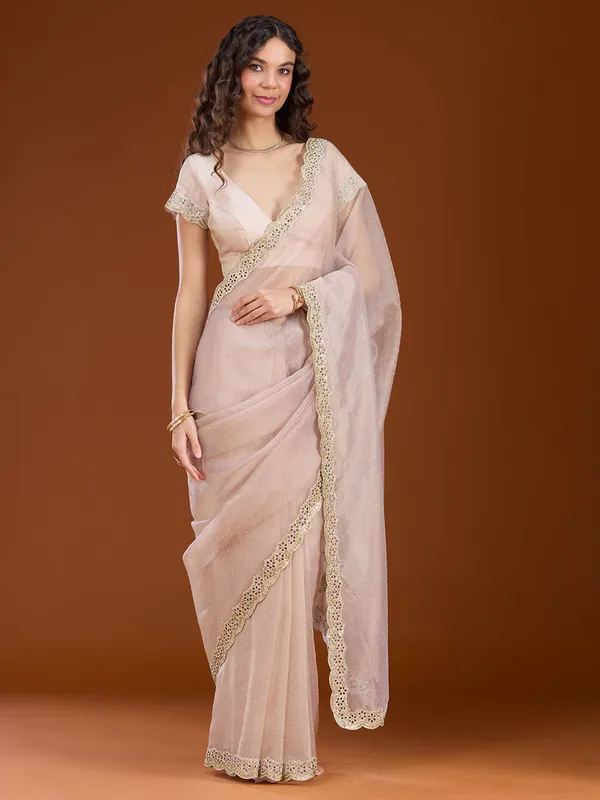 Beige_Cutdana_Tissue_Saree