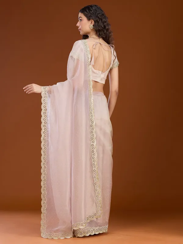 Beige_Cutdana_Tissue_Saree