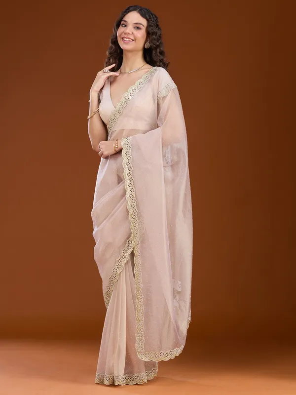 Beige_Cutdana_Tissue_Saree