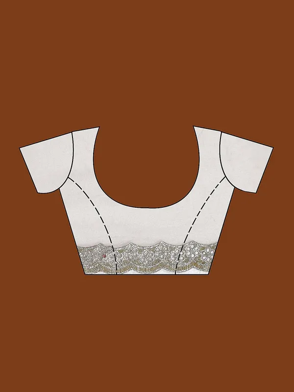 Beige_Cutdana_Tissue_Saree