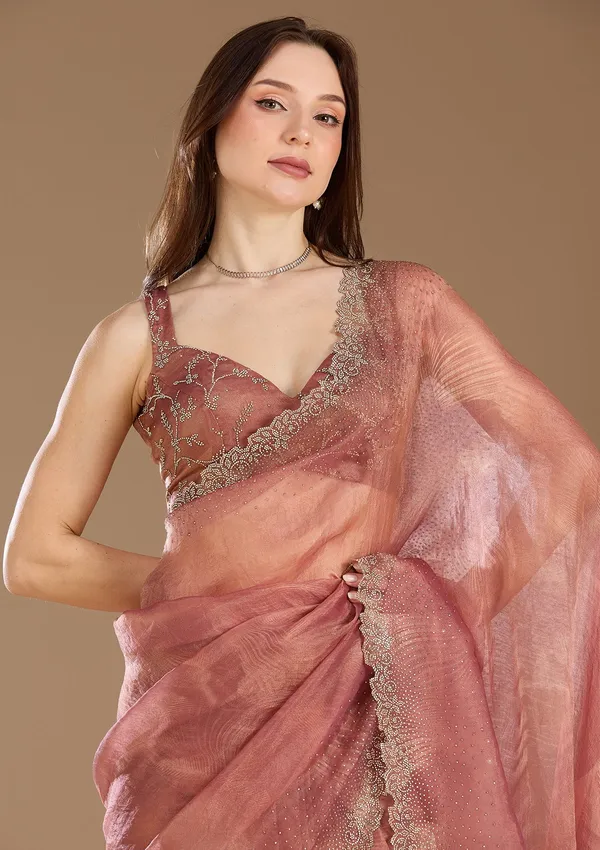 Onion_Pink_Stonework_Gold_Tissue_Saree