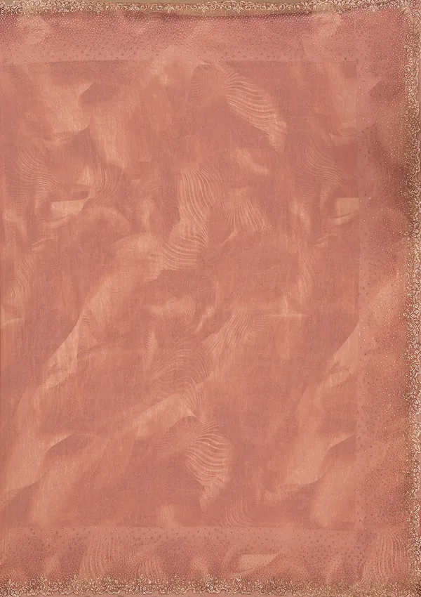 Onion_Pink_Stonework_Gold_Tissue_Saree