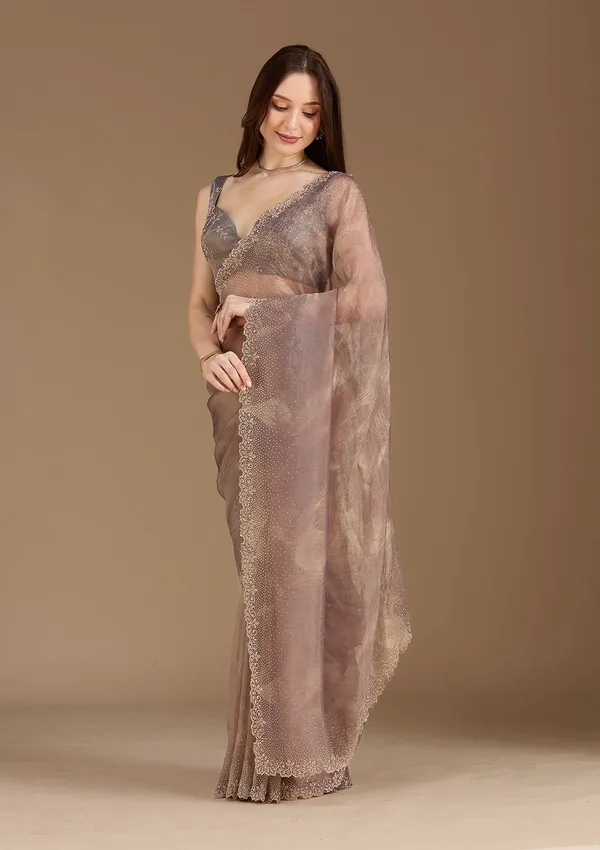 Brown_Stonework_Gold_Tissue_Saree