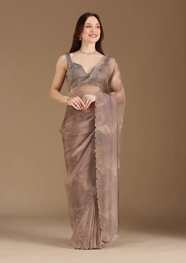 Brown_Stonework_Gold_Tissue_Saree