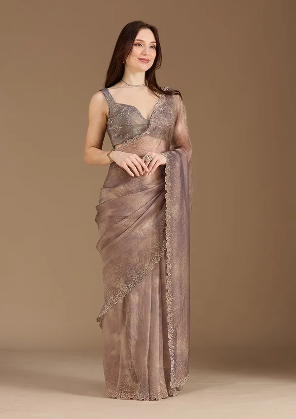 Brown_Stonework_Gold_Tissue_Saree