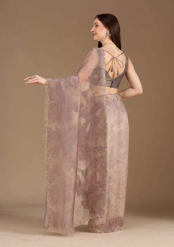 Brown_Stonework_Gold_Tissue_Saree