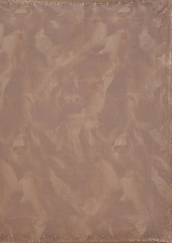 Brown_Stonework_Gold_Tissue_Saree
